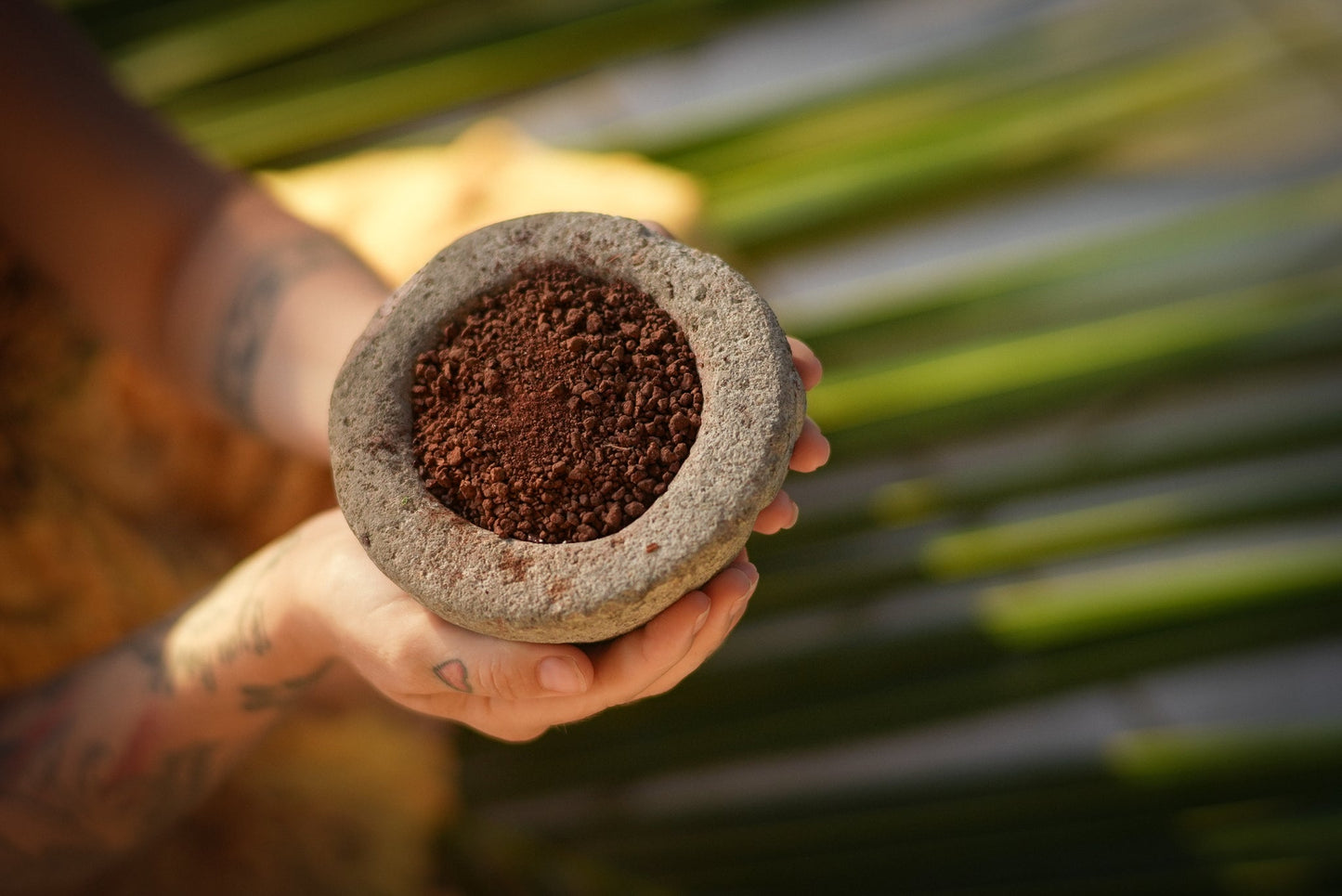 Seva Abundance Cacao