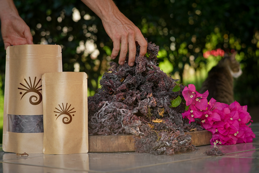 100% Wild crafted Sea Moss -(Gold & Purple) - Organic & Sun-Dried